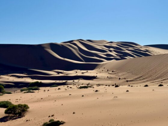 Take Only Memories, Leave Only Footprints